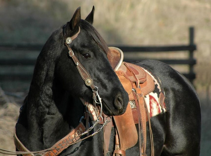 Other Tack